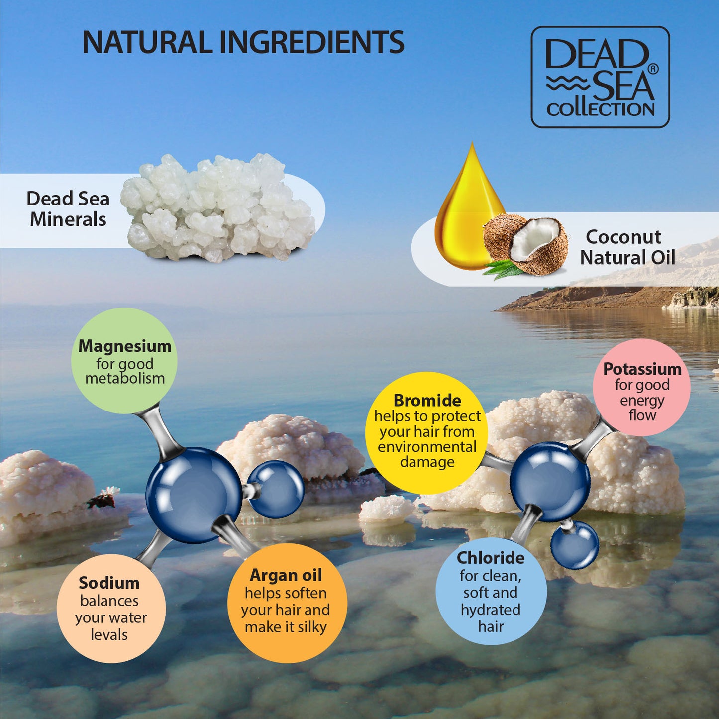 Dead Sea Mineral Shampoo Coconut