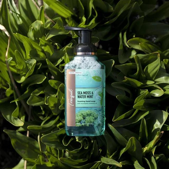 Scent Theory Nature-Inspired Foaming Hand Soap, Sea Moss and Water Mint, 11 fl oz