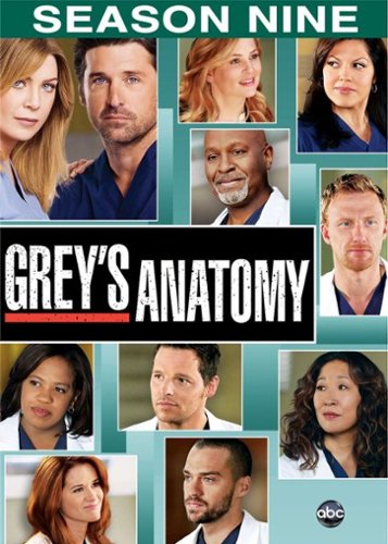 Grey's Anatomy: Complete Ninth Season [6 Discs]